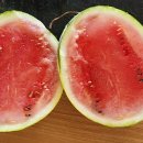 박대희농장 이미지