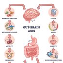 정신신경면역학(Psychoneuroimmunology, PNI)은 우리의 마음(정신), 뇌(신경계), 이미지