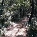 삼중공원 이미지