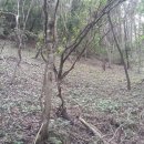 한상태농장 이미지