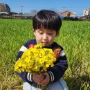 🌼유채꽃향기따라, 사랑스러운 힘찬이반친구들🌼 이미지