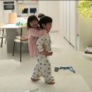 샤브르정원 점심식사 이미지