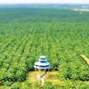 진격농장 이미지