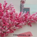 채널 트웰브 이미지