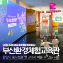 쉽게 배우는 스마트폰2 | 아이와 함께 배우는 환경 체험｜부산환경체험교육관 후기