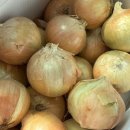 달구나청과 이미지