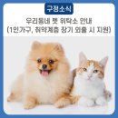 금란동물애견 이미지