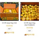 제주바람농원 | 제주 귤 맛집 :: 홍이네농원 타이벡 감귤 내돈내산 후기