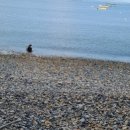 상주두모야영장 이미지