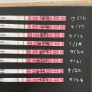 아인 메디칼 | 계류유산 후 재임신 기록 - 아인병원 임신확인💙 / 임신4-8주차까지의 증상들