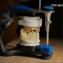 미앤드플라워치과의원 이미지