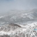 삼수령목장 이미지