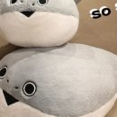 트렌디바디 이미지