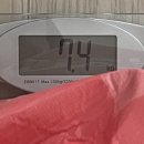 퍼퓸퍼유어팻 | 2026 무뷰페 in 성수 7.4kg 받은 후기 Ι 무신사뷰티페스타