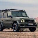 와마코리아 이미지