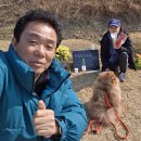 성묘(2026년 설) 이미지