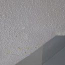 법동 영진로얄상가 이미지