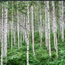 가리벨리휴양타운 이미지