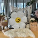 해포경로당 | [부산애견운동장] 댕댕이들과 즐겁게 인사하며 즐기는 애견운동장! 부산애견운동장 하이멍!