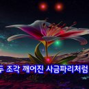 가이드#상사화#노래 초아강#강정숙#원곡 #작사 강정숙#작곡 한동한 이미지