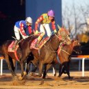 경마공원 이미지