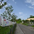 하늘소자연과학유치원 이미지