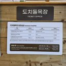 하남목장(주) | [제주여행지추천] 다양한 동물들과 먹이주기 체험을 즐길 수 있는, 제주도알파카목장 &#34;도치돌알파카목장&#34;