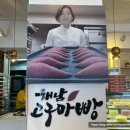 해남군청 | 해남군청 인근 베이커리 내 돈 내산 맛집 추천 [원조 해남고구마빵 피낭시에]