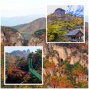 10월 25일[제2,143차] 경북 봉화군 청량산(870m) 단풍산행 안내 이미지