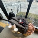 한화생명대전부속의원 | [대전 한화생명 볼파크] 개장식 1루 내야 지정석 110구역 19열 좌석 후기 시야 개장식 다시 해라✨