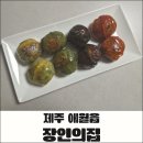4색여행 | 제주 장인의집 4색 만두 내돈내산 택배 후기｜집에서 즐기는 제주 만두 맛집의 맛