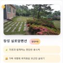 호텔모양성