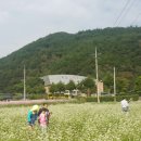 북천초등학교대야분교장 네이버블로그