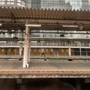 낙원식당(갈말) | 작년에 간 도쿄 일기를 이제 쓴다고? 그래. (2/2)