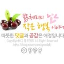 안나그루밍 이미지