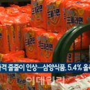 비에스씨코리아