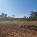 약초흑염소농장 이미지