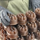 베이비송 이미지