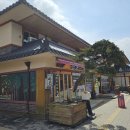 오대산 곤드레밥 이미지