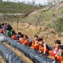 동심예능유치원 이미지