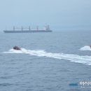 동해-단속-26 이미지