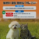 엘로이 동물병원 이미지