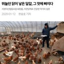 윤정부농장 이미지