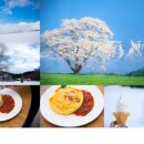 현 목장 이미지