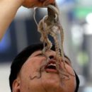 다동무교동상가번영회 - 중구 다동 | 다동무교동상가번영회