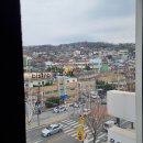 갈현1동문화의집 문화관람실(4층) | [3/23 공강일기] 성북동에서 혼자 놀기 / 문화식당, 우리옛돌박물관, 길상사, 밀곳간