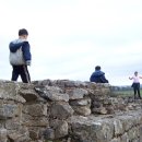 두개의 조각 이미지