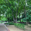 작은별소아치과의원 이미지