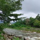 나무소바 이미지