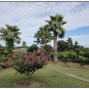 메이플하우스 펜션 이미지